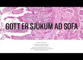 Free download Gott er sjúkum a sofa // Iunn Snds video and edit with RedcoolMedia movie maker MovieStudio video editor online and AudioStudio audio editor onlin
