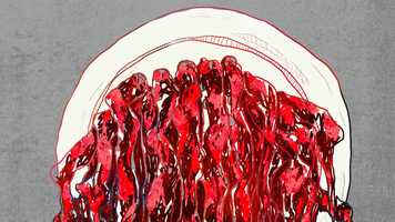 Free download Gourmet video and edit with RedcoolMedia movie maker MovieStudio video editor online and AudioStudio audio editor onlin