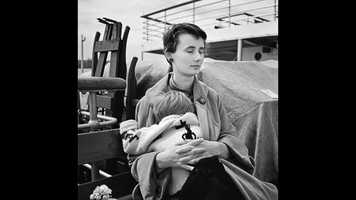 Free download GRACE 9.8 V 4 video and edit with RedcoolMedia movie maker MovieStudio video editor online and AudioStudio audio editor onlin