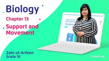 Free download Grade-10-Biology-Chapter-13-Support-and-Movement video and edit with RedcoolMedia movie maker MovieStudio video editor online and AudioStudio audio editor onlin