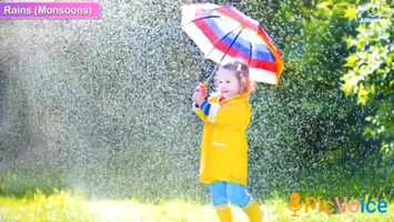 Free download Grade 3  Science video and edit with RedcoolMedia movie maker MovieStudio video editor online and AudioStudio audio editor onlin