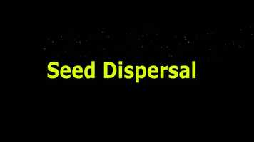 Free download grade5_science_vol2_chapter1_video4 video and edit with RedcoolMedia movie maker MovieStudio video editor online and AudioStudio audio editor onlin