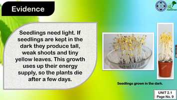 Free download Grade 6 Science Lecture 18 Chapter 2 Photosynthesis vid 10  (Evidence) in easy words Urdu and English video and edit with RedcoolMedia movie maker MovieStudio video editor online and AudioStudio audio editor onlin