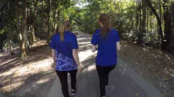 Free download Grad Program sell v8 video and edit with RedcoolMedia movie maker MovieStudio video editor online and AudioStudio audio editor onlin