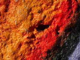 Free download Graffiti Ants 1 video and edit with RedcoolMedia movie maker MovieStudio video editor online and AudioStudio audio editor onlin