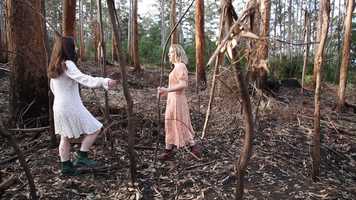 Free download Grandmothers Shelf, Music Video .mov video and edit with RedcoolMedia movie maker MovieStudio video editor online and AudioStudio audio editor onlin