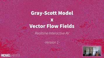 Free download Gray-Scott Model x Vector Flow Fields video and edit with RedcoolMedia movie maker MovieStudio video editor online and AudioStudio audio editor onlin