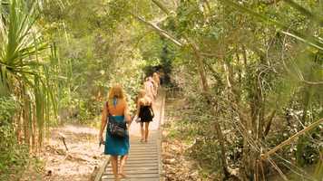 Free download Great Barrier Reef Trailer video and edit with RedcoolMedia movie maker MovieStudio video editor online and AudioStudio audio editor onlin