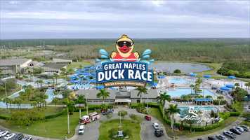Free download Great Naples Duck Race - Water Safety Festival 2020 video and edit with RedcoolMedia movie maker MovieStudio video editor online and AudioStudio audio editor onlin