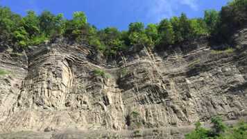 Free download Great Oaks of Taughannock.mov video and edit with RedcoolMedia movie maker MovieStudio video editor online and AudioStudio audio editor onlin