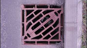 Free download green belt video and edit with RedcoolMedia movie maker MovieStudio video editor online and AudioStudio audio editor onlin