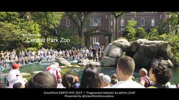 Free download GreenPoint EARTH NYC 2019 x Arlin Graff at Central Park Zoo video and edit with RedcoolMedia movie maker MovieStudio video editor online and AudioStudio audio editor onlin