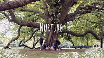 Free download Gregg School video and edit with RedcoolMedia movie maker MovieStudio video editor online and AudioStudio audio editor onlin