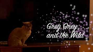 Free download Grey Grey and the Wild2.m4v video and edit with RedcoolMedia movie maker MovieStudio video editor online and AudioStudio audio editor onlin