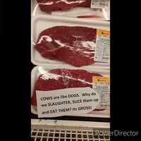 Free download Grocery Store Animal Activism video and edit with RedcoolMedia movie maker MovieStudio video editor online and AudioStudio audio editor onlin