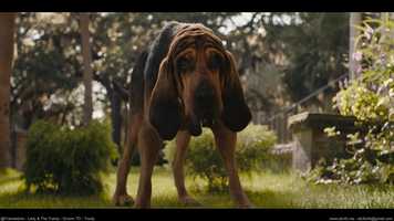 Free download Groom  Model - Reel 2020 video and edit with RedcoolMedia movie maker MovieStudio video editor online and AudioStudio audio editor onlin