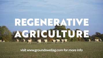 Free download Groundswell (short version) Sound design, bespoke music and mix by Will Ward  Jack Wyllie video and edit with RedcoolMedia movie maker MovieStudio video editor online and AudioStudio audio editor onlin