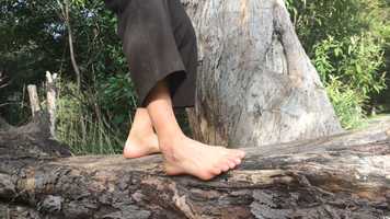 Free download Groundwork video and edit with RedcoolMedia movie maker MovieStudio video editor online and AudioStudio audio editor onlin