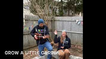 Free download Grow a Little Garden video and edit with RedcoolMedia movie maker MovieStudio video editor online and AudioStudio audio editor onlin