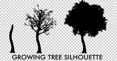 Free download Growing Tree Silhouette Animation | Motion Graphics - Envato elements video and edit with RedcoolMedia movie maker MovieStudio video editor online and AudioStudio audio editor onlin