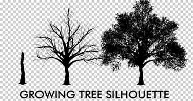 Free download Growing Tree Silhouette | Motion Graphics - Envato elements video and edit with RedcoolMedia movie maker MovieStudio video editor online and AudioStudio audio editor onlin