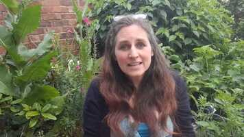 Free download Grow Your Life Song Coaching video and edit with RedcoolMedia movie maker MovieStudio video editor online and AudioStudio audio editor onlin