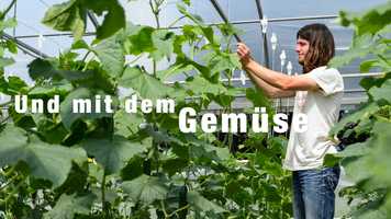 Free download GSH Lehrstellen 2018 video and edit with RedcoolMedia movie maker MovieStudio video editor online and AudioStudio audio editor onlin