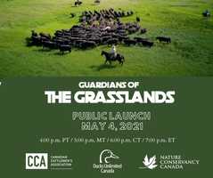 Free download Guardians Of The Grasslands - May 4th Launch Trailer video and edit with RedcoolMedia movie maker MovieStudio video editor online and AudioStudio audio editor onlin