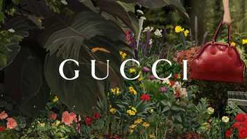 Free download Gucci Hallutination video and edit with RedcoolMedia movie maker MovieStudio video editor online and AudioStudio audio editor onlin