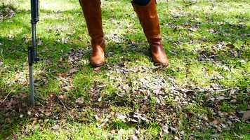 Free download Gun Bunny Rehab - part 2 - Training Day video and edit with RedcoolMedia movie maker MovieStudio video editor online and AudioStudio audio editor onlin