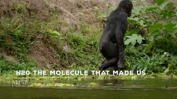 Free download H20: The Molecule that Made Us Finalist Trailer - Cinematography video and edit with RedcoolMedia movie maker MovieStudio video editor online and AudioStudio audio editor onlin