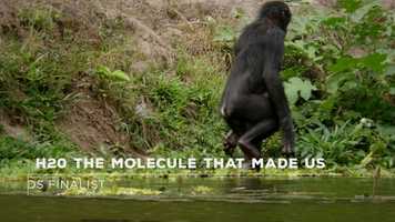 Free download H20: The Molecule that Made Us Finalist Trailer - Editing video and edit with RedcoolMedia movie maker MovieStudio video editor online and AudioStudio audio editor onlin