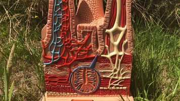 Free download H2A Intake video and edit with RedcoolMedia movie maker MovieStudio video editor online and AudioStudio audio editor onlin