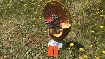 Free download H2B Homeostasis video and edit with RedcoolMedia movie maker MovieStudio video editor online and AudioStudio audio editor onlin