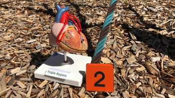 Free download H3B Cardio Disorders Guide video and edit with RedcoolMedia movie maker MovieStudio video editor online and AudioStudio audio editor onlin