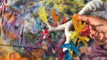 Free download H5a2 Bronchial Tree video and edit with RedcoolMedia movie maker MovieStudio video editor online and AudioStudio audio editor onlin