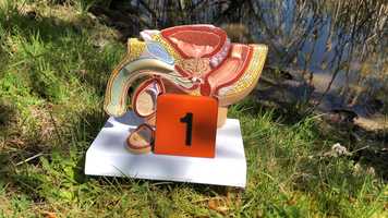 Free download H7B Life Stages Guide video and edit with RedcoolMedia movie maker MovieStudio video editor online and AudioStudio audio editor onlin