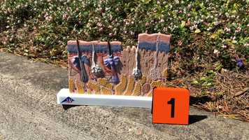 Free download H9A Defenses Guide video and edit with RedcoolMedia movie maker MovieStudio video editor online and AudioStudio audio editor onlin