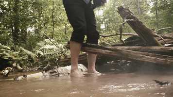 Free download Haiku Cinema Vol 1 No 16 video and edit with RedcoolMedia movie maker MovieStudio video editor online and AudioStudio audio editor onlin