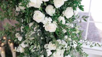 Free download Haley + John Mallard Island Estate Trailer video and edit with RedcoolMedia movie maker MovieStudio video editor online and AudioStudio audio editor onlin