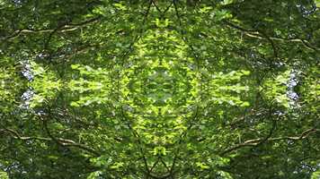 Free download Half video and edit with RedcoolMedia movie maker MovieStudio video editor online and AudioStudio audio editor onlin