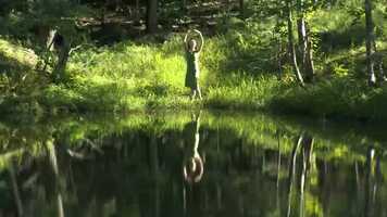 Free download Hamadryad de/by Nancy Allison et Paul Allman (bande-annonce/trailer) video and edit with RedcoolMedia movie maker MovieStudio video editor online and AudioStudio audio editor onlin