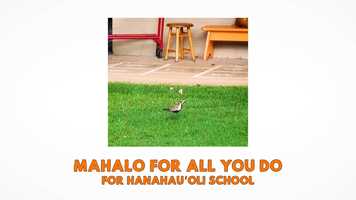 Free download Hanahauoli School Joyful Gratitude April 2020 video and edit with RedcoolMedia movie maker MovieStudio video editor online and AudioStudio audio editor onlin