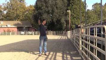 Free download Hands on Donkey Training  Ben Hart Prepare and Solve Problems video and edit with RedcoolMedia movie maker MovieStudio video editor online and AudioStudio audio editor onlin