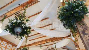 Free download Hanging Plants Stock Video video and edit with RedcoolMedia movie maker MovieStudio video editor online and AudioStudio audio editor onlin