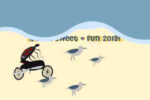 Free download Happy 2019 video and edit with RedcoolMedia MovieStudio video editor online and AudioStudio audio editor onlin