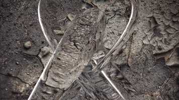 Free download Happy Fathers Day Song video and edit with RedcoolMedia movie maker MovieStudio video editor online and AudioStudio audio editor onlin