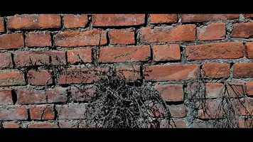 Free download Hari Bhari Short Film video and edit with RedcoolMedia movie maker MovieStudio video editor online and AudioStudio audio editor onlin