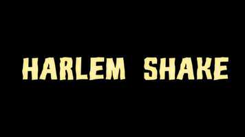 Free download Harlem Shake video and edit with RedcoolMedia movie maker MovieStudio video editor online and AudioStudio audio editor onlin
