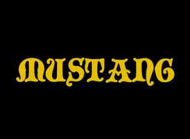 Free download Harrison (feat. Talvi) - Mustang (Official Video) video and edit with RedcoolMedia movie maker MovieStudio video editor online and AudioStudio audio editor onlin